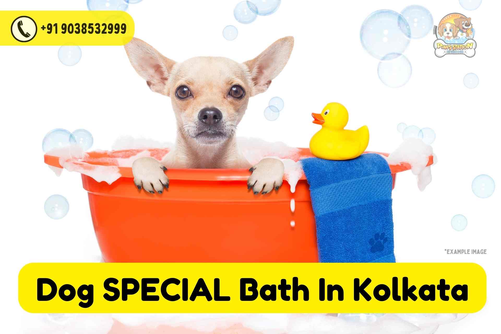 Dog SPECIAL Bath In Kolkata